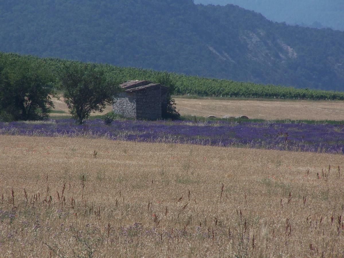 "Le Pigeonnier" Chambre D'Hote Piégros-la-Clastre Exteriér fotografie